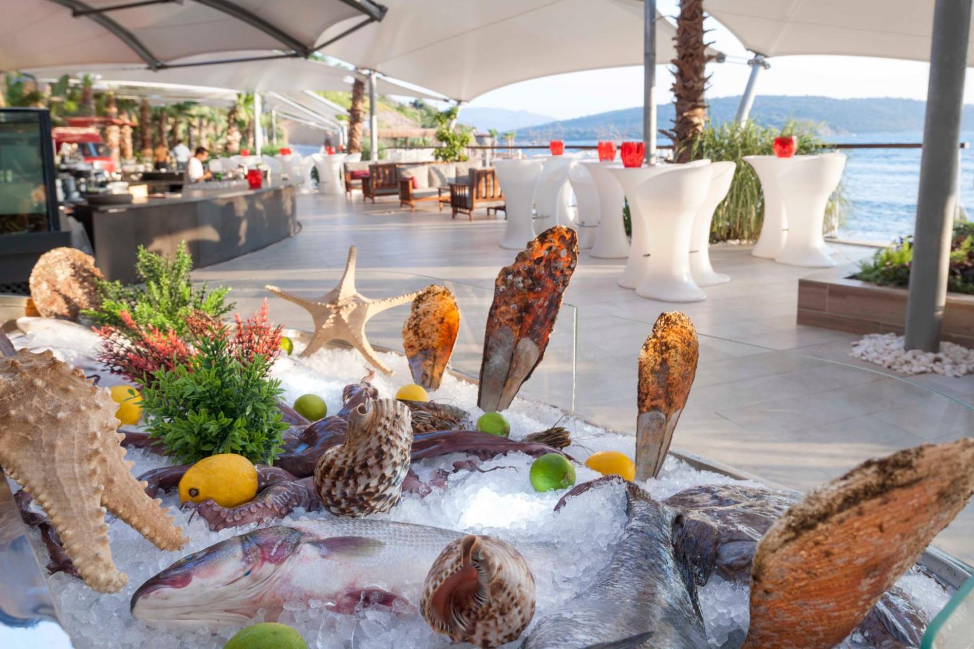 Le Meridien Bodrum Beach Resort Bogazici Eksteriør billede